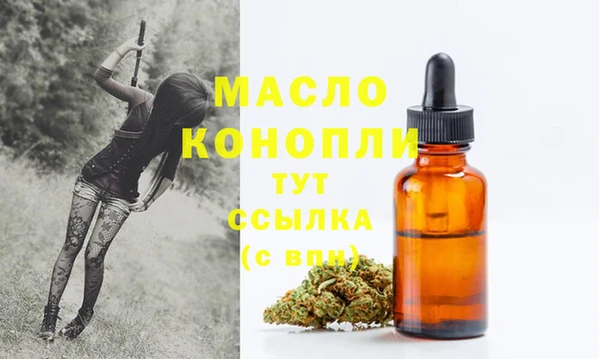 скорость Вяземский
