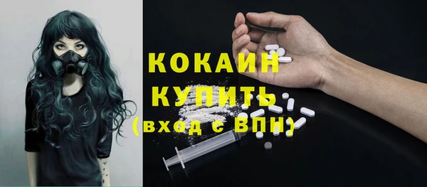 скорость Вяземский