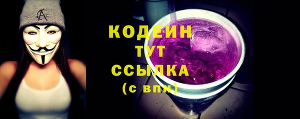 скорость Вяземский