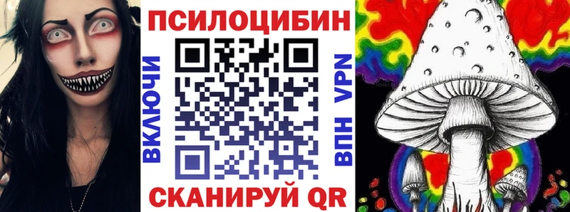 Псилоцибиновые грибы Psilocybe Ивантеевка